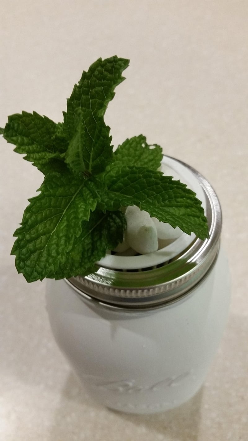 Mason Jar for Zero Waste